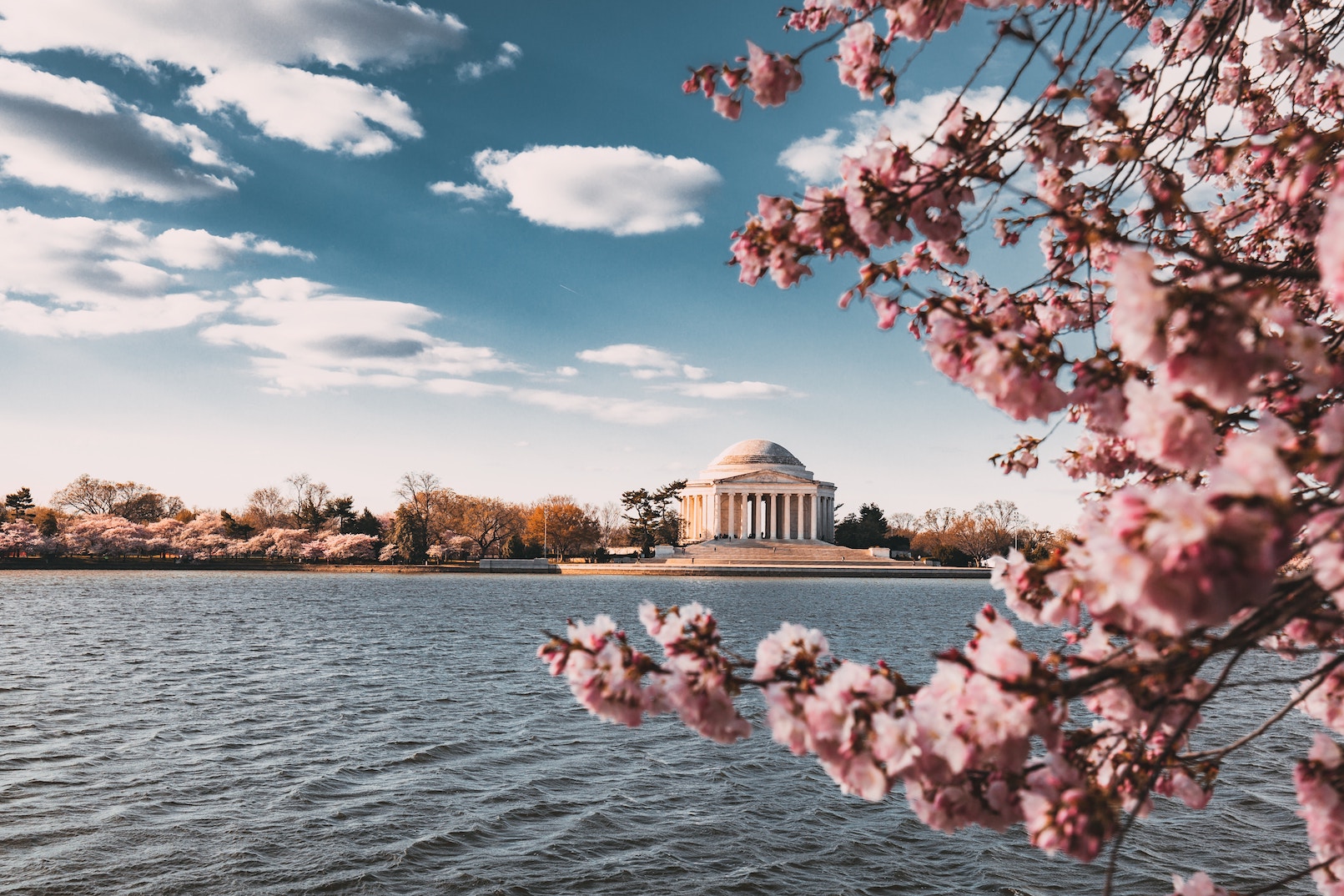 5 Lovely Small Wedding Venues in Washington, DC