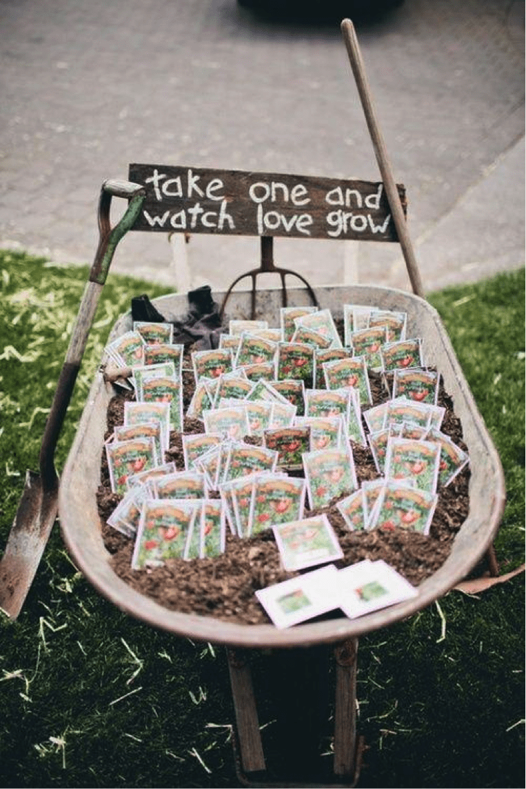 seed pack wedding favor