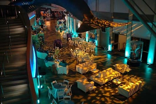 aquarium of pacific wedding