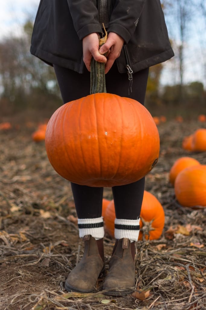 fall proposal idea pumpkin patch